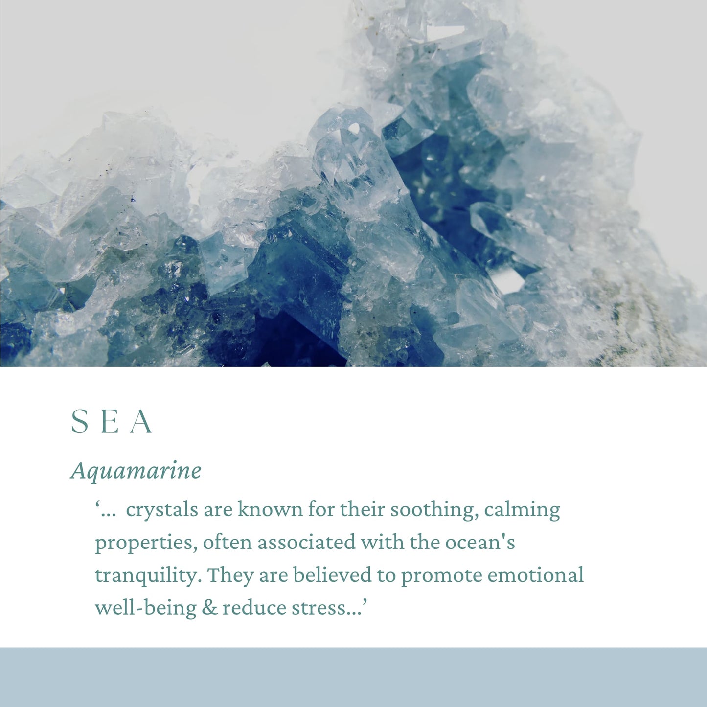 Aquamarine Stitch Markers - Sea