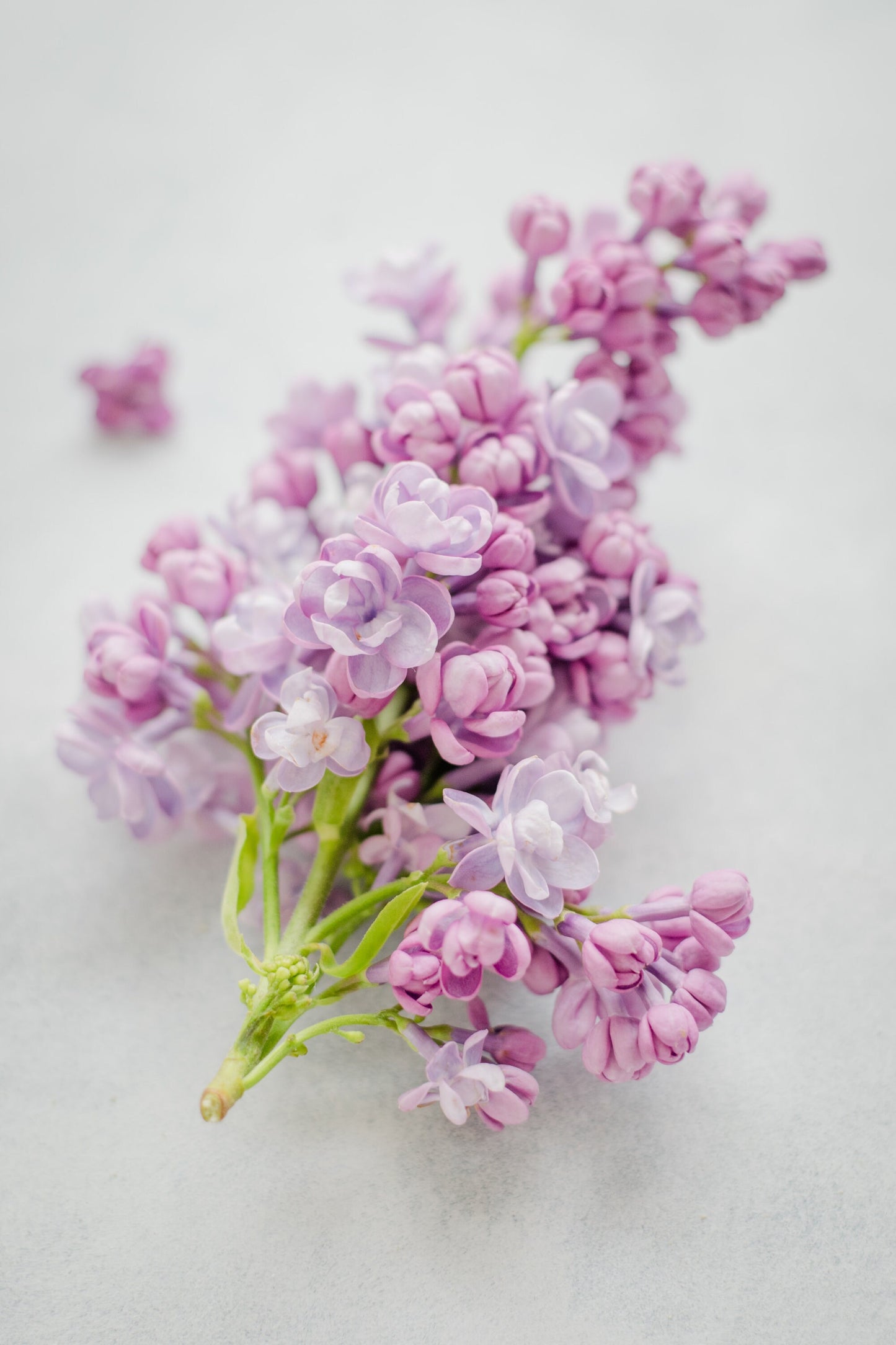 Light Purple Stitch Markers for Knitting Needles - Snow Lilac