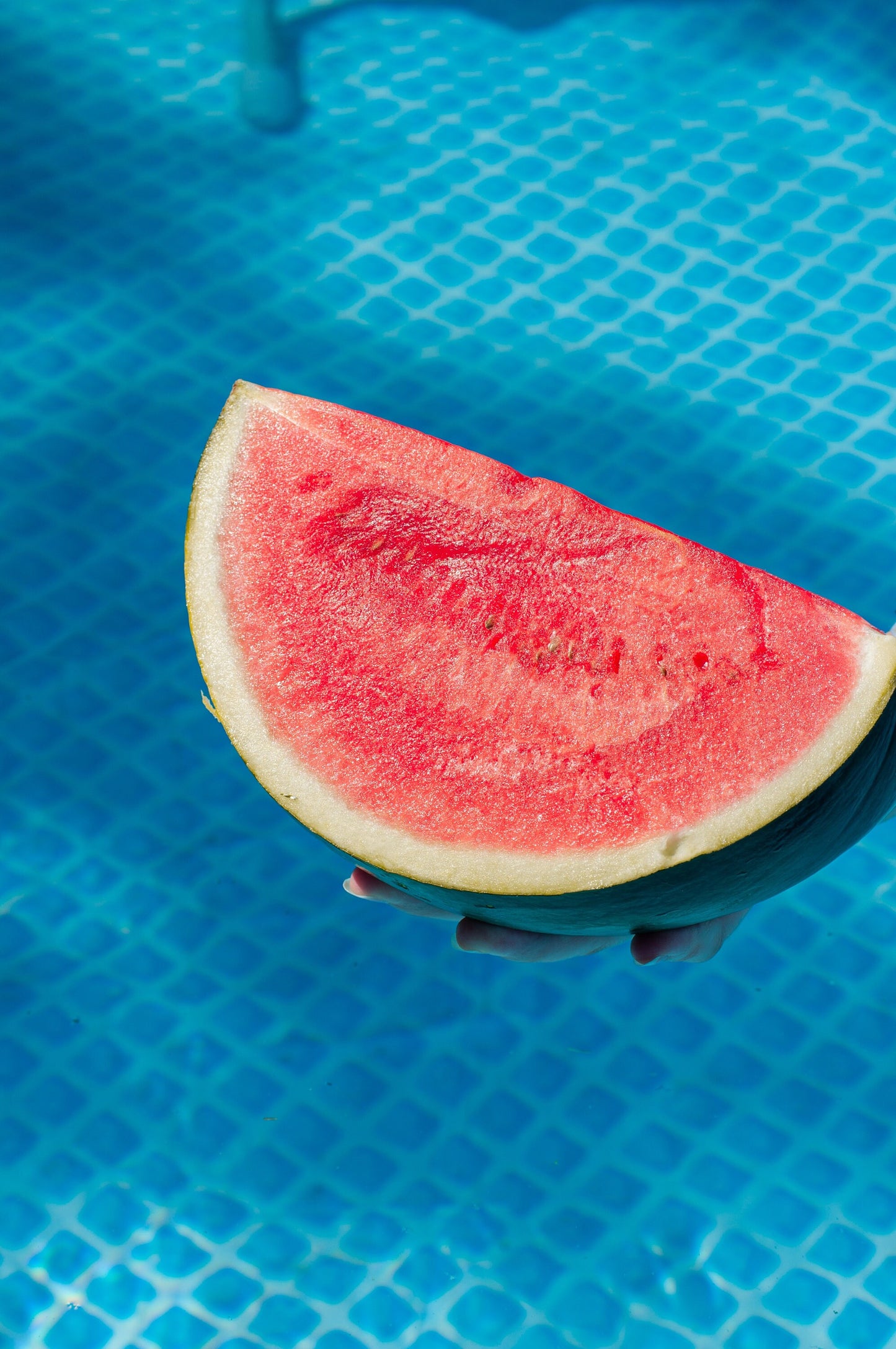 Watermelon purse for Stitch Markers