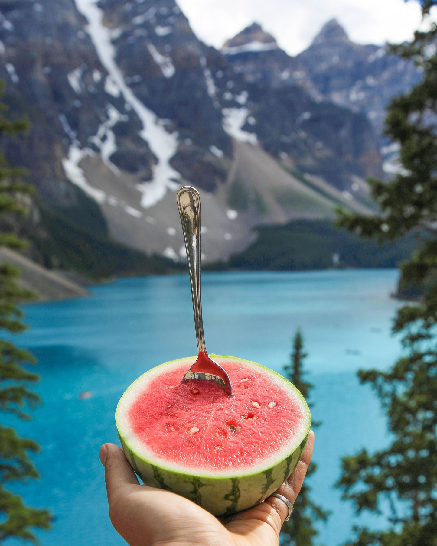 Watermelon purse for Stitch Markers